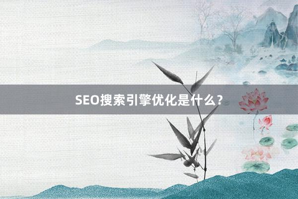 SEO搜索引擎优化是什么？