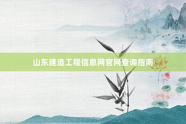 山东建造工程信息网官网查询指南