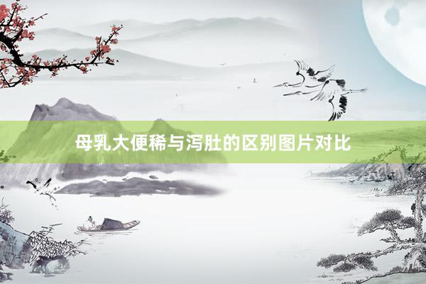 母乳大便稀与泻肚的区别图片对比