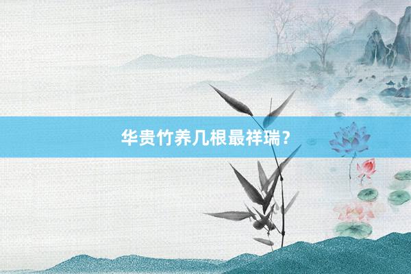 华贵竹养几根最祥瑞？