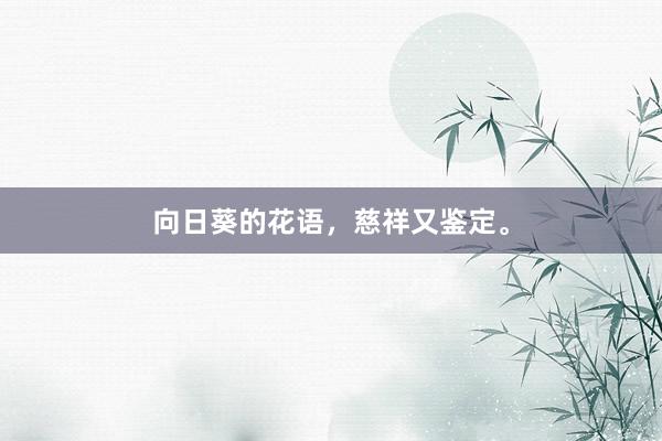 向日葵的花语，慈祥又鉴定。