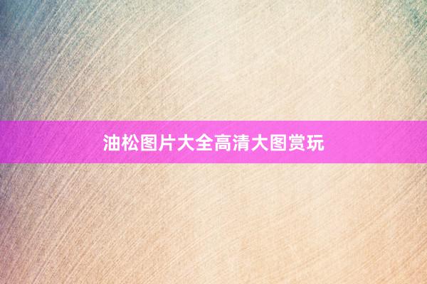 油松图片大全高清大图赏玩