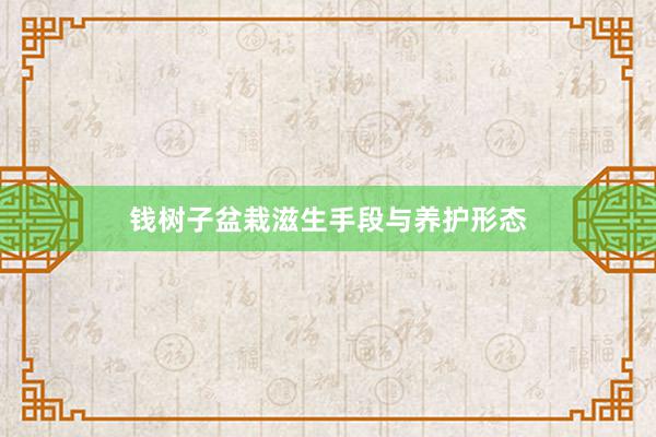 钱树子盆栽滋生手段与养护形态